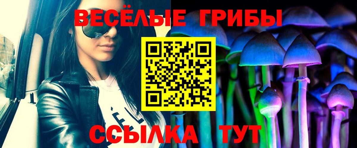 Псилоцибиновые грибы прущие грибы Приморско-Ахтарск